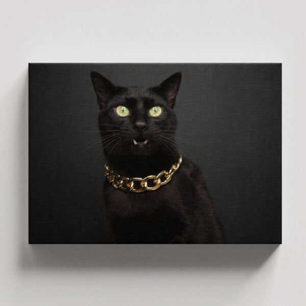 GATO NEGRO MODELO:##BG01_52