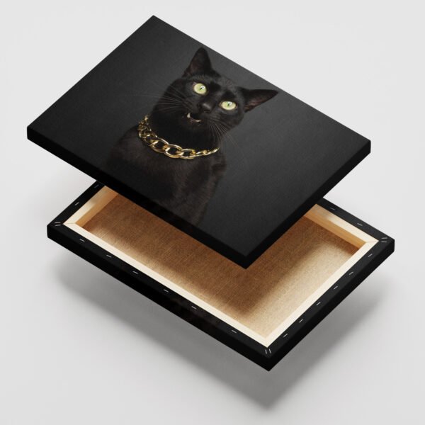 GATO NEGRO MODELO:##BG01_52 - Image 2