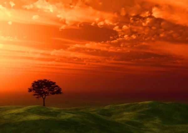 ATARDECER #PN02_20 - Image 3