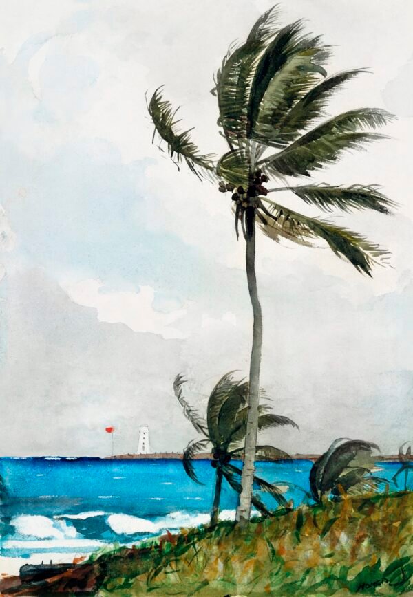 Winslow Homer 01 - TC01 - Image 3